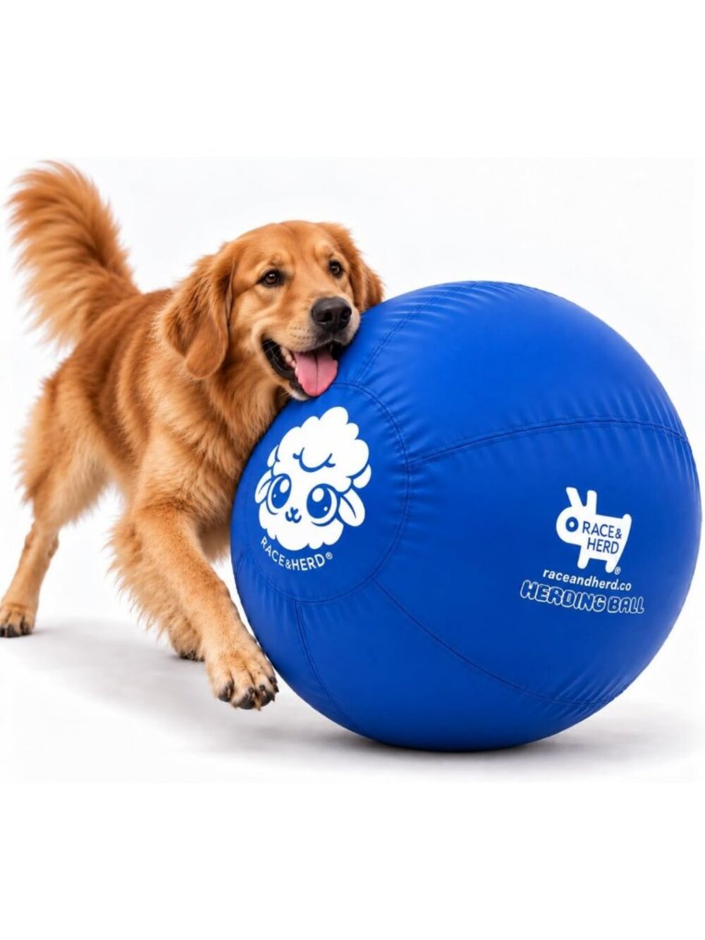 30" Herding Ball Set - Durable Cover, Inner Ball & Pump for Active Dogs (Ocean)